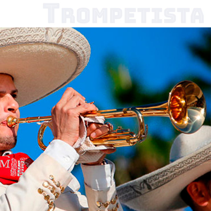 TROMPETISTA