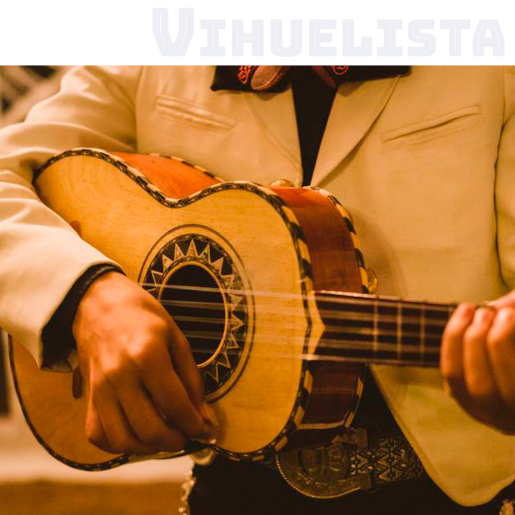 VIHUELISTA